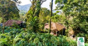 obraz domu w lesie w obiekcie The Tall Trees w mieście Munnar