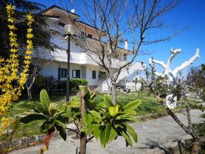 Zahrada ubytování Gianmaria B&B