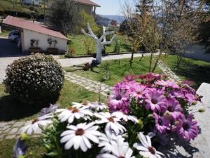 Zahrada ubytování Gianmaria B&B