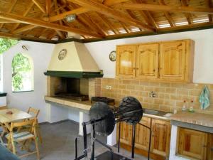 a kitchen with a metal object in front of a stove at Olympion Apartments in Stafylos