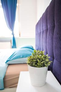 מיטה או מיטות בחדר ב-Color Apartment New Design