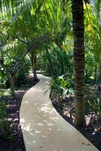 Ein Garten an der Unterkunft Sotavento Hotel & Yacht Club