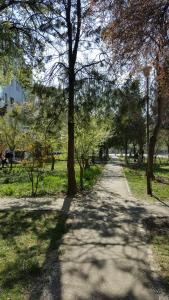 Příroda nedaleko apartmánu