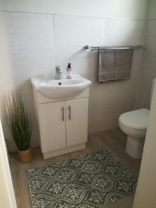 a bathroom with a sink and a toilet and a rug at Koraalboom Guestrooms in Wolseley