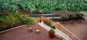 Ogród w obiekcie FINCA LA PLANTACIÓN _Agroturismo