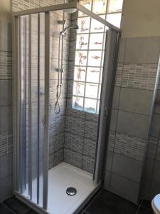 a shower with a glass door in a bathroom at The Horse in Pogno