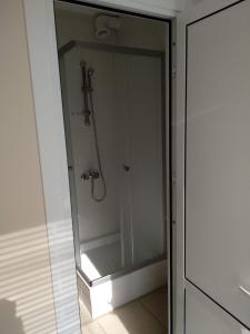 a shower in a bathroom with a glass door at Guest House Aravana in Tula