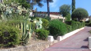 un jardin avec des cactus et des plantes sur un trottoir dans l'établissement la Pequenita, à Saint-Raphaël