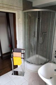 uma casa de banho com um chuveiro e um lavatório. em Ferienwohnung Christine em Thale