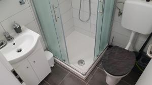 a bathroom with a shower and a toilet and a sink at Apartments Tatjana in Bovec