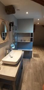 un baño con lavabo y espejo en LA CURE grande maison de charme de 2 a 14 personnes, en Saint-Urcize