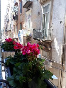 A balcony or terrace at GELSO HOME