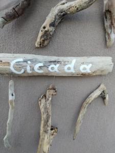 Kép Cicada Home szállásáról Karavádoszban a galériában
