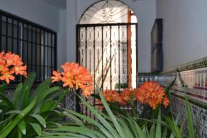 Fotografia z galérie ubytovania Nuevo Sueño del Alcazar v destinácii Córdoba