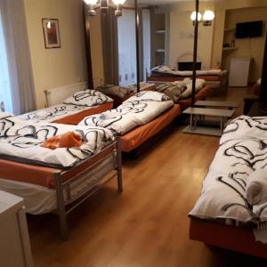 a group of beds in a room with wooden floors at Agroturystyka "JAGAP" OAZA SPOKOJU in Dzierżoniów