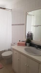La salle de bains est pourvue d'un lavabo, de toilettes et d'un miroir. dans l'établissement La Solandra, à Adeje