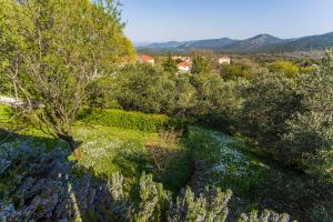 Tatil evi yakınında doğal manzara