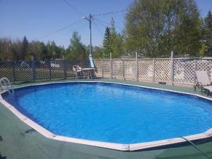 - une grande piscine d'eau bleue dans la cour dans l'établissement Fundy Rocks Motel, à Hopewell Cape