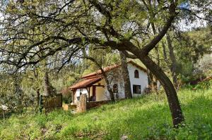 Giardino di Zimmers at the Forest