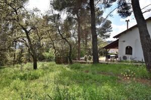 Giardino di Zimmers at the Forest