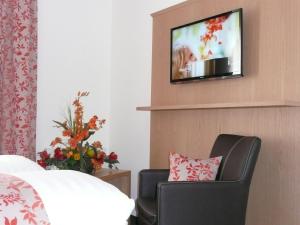 TV a/nebo společenská místnost v ubytování Hotel Garni Rheinpracht