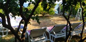 un grupo de sillas de jardín sentadas a la sombra de un árbol en Holiday Home Margarita, en Seget Vranjica