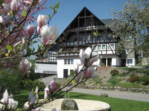 a magnolia tree in front of a house at Ferienwohnung Otto in Schmallenberg