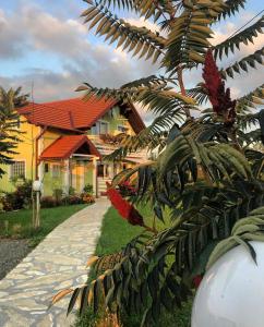 een huis met een palmboom ervoor bij House Antonia in Grabovac