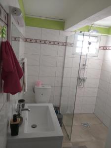 ein Bad mit einem Waschbecken und einer Dusche in der Unterkunft TI PANNYE in Deshaies