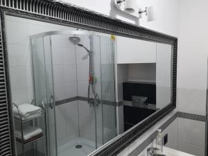 een badkamer met een douche en een spiegel bij Apartament Południowy in Radom