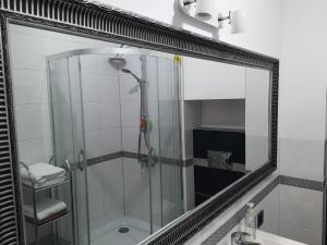 a bathroom with a shower and a mirror at Apartament Południowy in Radom