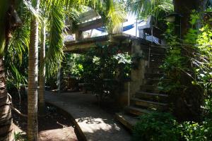 eine Treppe, die zu einem Gebäude mit Palmen führt in der Unterkunft Apartments Chez Milady in Utila