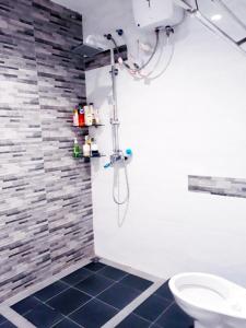 a bathroom with a shower and a toilet at Jakson Homestay in Batam Center