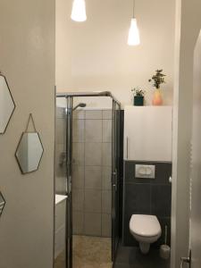 a bathroom with a toilet and a glass shower at Charme ancien & confort - cœur de ville in Auxerre