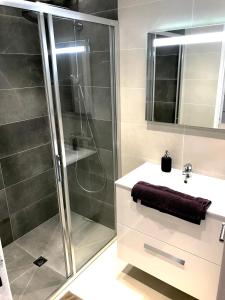 uma casa de banho com um chuveiro e um lavatório. em T2 Moderne avec jardin em Rayol-Canadel-sur-Mer