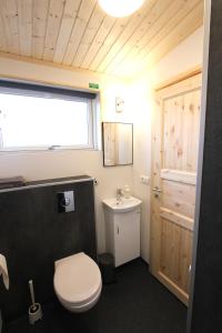 ein Badezimmer mit einem weißen WC und einem Waschbecken in der Unterkunft Blue View Cabin 7B With private hot tub in Selfoss