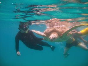 Hosté ubytování Perhentian Chomel Chalet