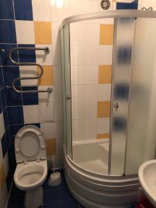 uma casa de banho com um chuveiro, um WC e um lavatório. em Вілла Анастасія em Truskavets