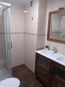 a bathroom with a shower and a sink and a mirror at Apartamento Cigüeña in Logroño