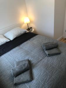 a bedroom with a bed with two pillows on it at CR Przytulny Apartament przy Pałacu Branickich in Białystok