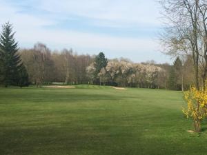 un grand champ vert avec des arbres en arrière-plan dans l'établissement La Caroline, à Corbie