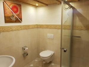 a bathroom with a shower and a toilet and a sink at Elbe Ferien in Marschacht