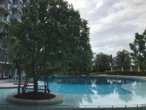 七岩的住宿－Blu Condo (Chaam - Huahin)，坐在游泳池前的树