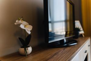 TV a/nebo společenská místnost v ubytování Apartment K