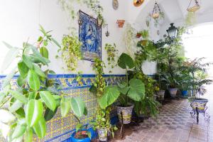 Zahrada ubytování Misterhost Triana Patio de las Flores