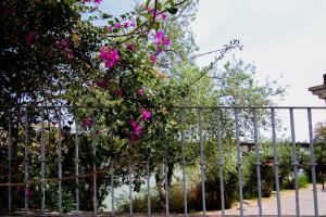 Zahrada ubytování Misterhost Triana Patio de las Flores