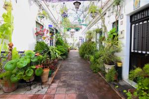 Zahrada ubytování Misterhost Triana Patio de las Flores