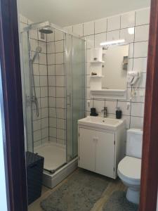 a bathroom with a shower and a toilet and a sink at Apartman Studio Kod Ujevića in Baška Voda
