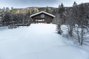 Fotografia z galérie ubytovania Luxus Chalet Quellhaus v destinácii Hinterstoder