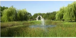 une fontaine au milieu d'un étang dans un parc dans l'établissement Perfect place to enjoy the city or just relax, à Chicago